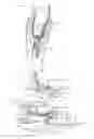 Fig. 02 - Prosthetic vacuum system