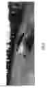 Fig. 04 - ACTIVE SAFETY SYSTEM