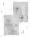 Fig. 11 - Source decay parameter system and method for automatic grid generation