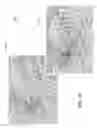 Fig. 15 - Source decay parameter system and method for automatic grid generation