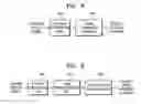 Fig. 08 - Method and apparatus of transforming speech feature vectors using an auto-associative neural network
