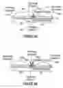 Fig. 06 - Encoding an information signal