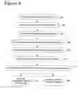 Fig. 04 - Transferring behavioral profiles anonymously across domains for behavioral targeting