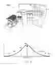 Fig. 02 - Personalization of self-checkout security