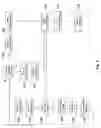 Fig. 10 - Display based purchase opportunity originating from in-store identification of sound recordings