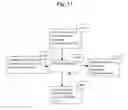 Fig. 14 - INFORMATION NERVOUS SYSTEM