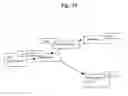 Fig. 35 - INFORMATION NERVOUS SYSTEM