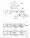 Fig. 03 - Memory efficient XML shredded with partial commit
