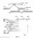 Fig. 09 - Memory efficient XML shredded with partial commit
