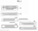Fig. 08 - Data distribution network and an apparatus of index holding