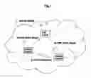Fig. 02 - Transmitting device for transmitting contents with copyright protection