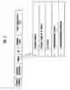 Fig. 10 - Transmitting device for transmitting contents with copyright protection