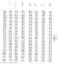 Fig. 02 - Plant Fatty Acid Synthases and Use in Improved Methods for Production of Medium-Chain Fatty Acids