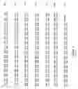 Fig. 04 - Plant Fatty Acid Synthases and Use in Improved Methods for Production of Medium-Chain Fatty Acids