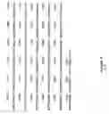 Fig. 43 - Plant Fatty Acid Synthases and Use in Improved Methods for Production of Medium-Chain Fatty Acids
