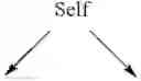 Fig. 04 - Broccoli line M7028