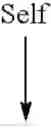 Fig. 06 - Broccoli line M7028