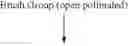 Fig. 10 - Broccoli line M7028