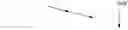Fig. 25 - Broccoli line M7028