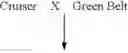 Fig. 32 - Broccoli line M7028