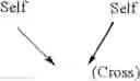 Fig. 46 - Broccoli line M7028