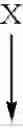 Fig. 47 - Broccoli line M7028