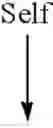 Fig. 49 - Broccoli line M7028