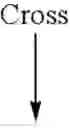 Fig. 53 - Broccoli line M7028