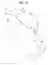 Fig. 09 - ARTICLE OF HEADWEAR