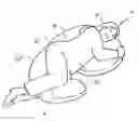 Fig. 01 - MULTI-PURPOSE BODY PILLOW WITH INSERT PANEL AND METHOD OF USING THE SAME