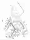 Fig. 02 - Rear part structure of vehicle