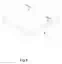 Fig. 09 - HINGE FOR LAPTOP COMPUTER