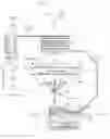 Fig. 01 - FLUIDIZED BED HEAVY FUEL COMBUSTOR