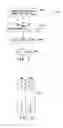 Fig. 06 - Mass air flow sensor signal compensation system