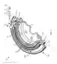 Fig. 05 - Sensing rotation of an engine component relative to an engine body using a starter ring