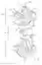 Fig. 01 - PRECESSIONAL DEVICE WITH MOTOR