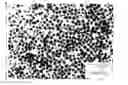 Fig. 01 - Copper microparticle and process for producing the same