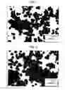 Fig. 02 - Copper microparticle and process for producing the same