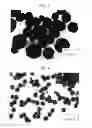 Fig. 03 - Copper microparticle and process for producing the same