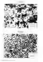 Fig. 04 - Copper microparticle and process for producing the same