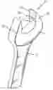 Fig. 01 - Driving surface configuration for hand tools