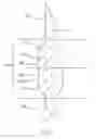 Fig. 04 - Driving surface configuration for hand tools