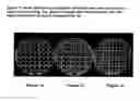 Fig. 02 - Composite structured adsorbents
