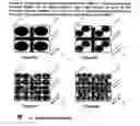 Fig. 09 - Composite structured adsorbents