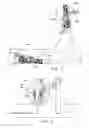 Fig. 06 - Milking implement