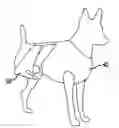 Fig. 01 - Exercise/conditioning bodysuit for animals