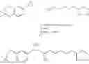 Fig. 37 - Beta-agonist compounds comprising nitric oxide donor groups and reactive oxygen species scavenger groups and their use in the treatment of respiratory disordersB