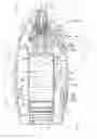 Fig. 01 - Fluid Dispenser