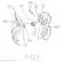 Fig. 03 - Hair clip with a ring spring