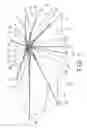 Fig. 02 - Umbrella having uneven cover or canopy